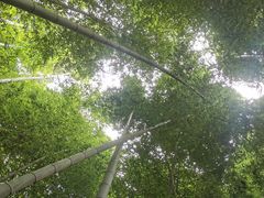 -同里国家湿地公园