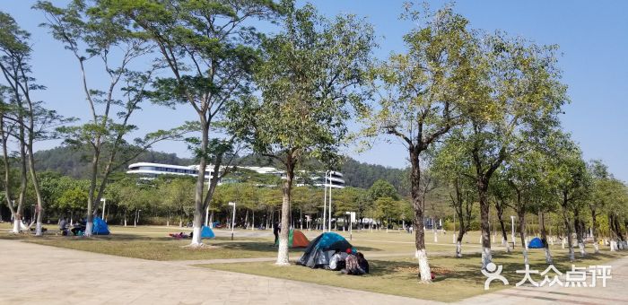 滨海公园图片