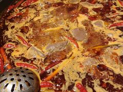 -成渝龙火锅(都江堰店)