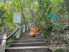 -虞山风景区