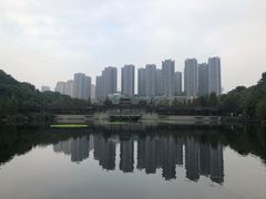 -重庆彩云湖湿地公园