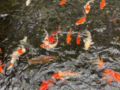 -广东大厦酒店(广州北京路步行街纪念堂地铁站店)