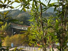 -云和湖仙宫景区