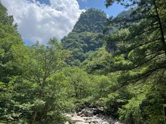 -青峰峡国家森林公园