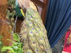 -观盐·盐帮菜(官园桥店)
