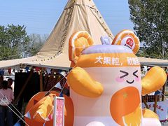 -北京雁栖湖国际会展中心