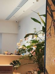 -WAVE SODA摄影工作室