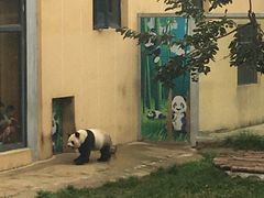 -西安秦岭野生动物园