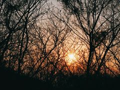 -南山风景名胜区