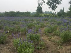 -楠柏弯休闲山庄(梨花溪店)
