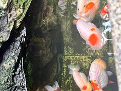 -佛有缘素食馆·荔湾老字号(陈家祠首店)