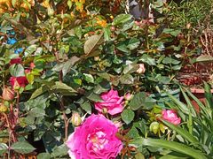 -爱尚鲜花店(粤通综合楼店)