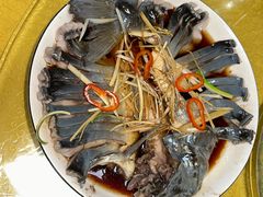 -煲来饱去冷水鱼