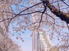-灵山胜境
