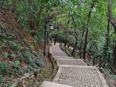 -苏州上方山国家森林公园
