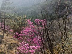 -崂山巨峰游览区