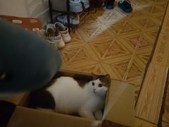 -深圳野生动物园