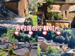 -杨家堂村