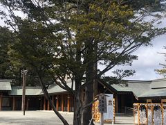 -北海道神宫