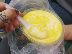 -雪露酸奶
