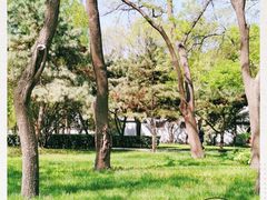 -玲珑塔公园