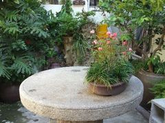 android_upload_pic-鼓浪屿牌馅饼(博物馆店)