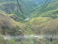 -牛背梁国家森林公园