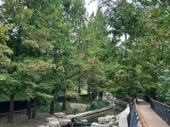 -白水寺森林公园