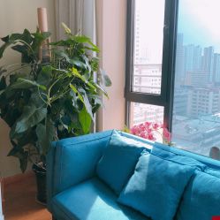 点击看大图 -潮店·溯美日式轻奢美睫馆