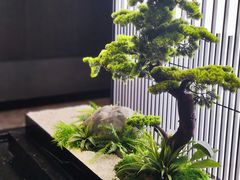 -聚宾楼·烤鸭·家宴(科技三路店)