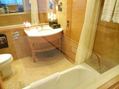 -长沙小天鹅戴斯酒店