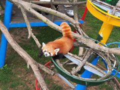 -西霞口神雕山野生动物世界