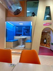 -尼克Playtime(欢乐海岸店)