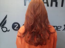 -发源地HAIR SALON