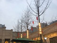 -月圆霖特色农家乐