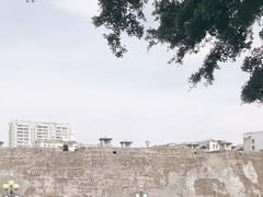 -石炮台公园