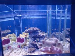 -常州海昌海洋探索馆