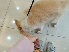 -惠康宠物医院(华能路店)