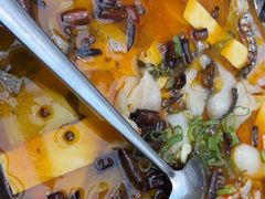 -滇铺子·云南特色菜·第九届野生菌美食节(东风东路c86店)