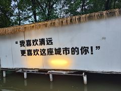 -芭厘农庄老字号·清远鸡