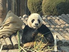 -大连森林动物园