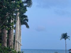 -三亚海棠湾万丽度假酒店