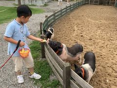 -前小桔亲子创意农场·草莓采摘·露营烧烤