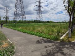 -永定河休闲森林公园