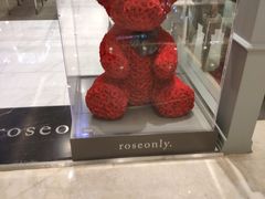 -ROSEONLY诺誓(国际广场购物中心店)