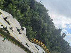 -西双版纳原始森林公园