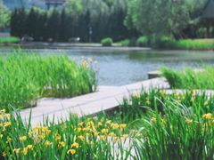 -中关村生命科学园