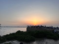 -宝安西湾红树林湿地公园