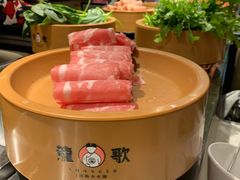 -龍歌自助小火锅(崂山丽达店)