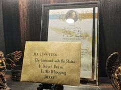 -雪灵魔法世界SHELLY’S TAROT(大良桂畔里店)